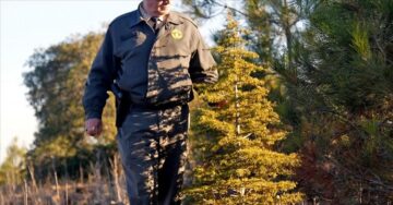 Orman çalışanlarına silahlı saldırı!