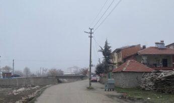 Yolun ortasındaki direk şaşırttı!