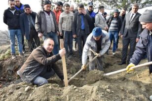 Atıl yerlere ceviz fidanı dikecekler