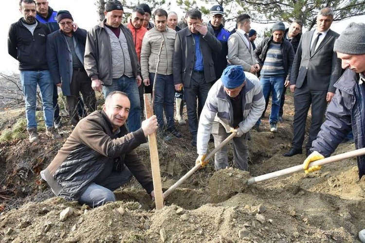 Atıl yerlere ceviz fidanı dikecekler