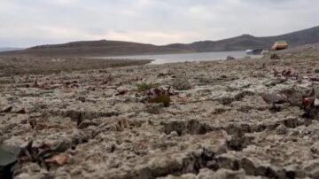 İlkbahar yağışlarına muhtacız!