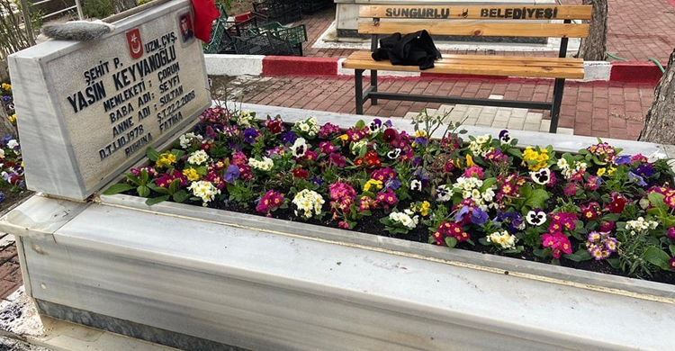 Sungurlu’da şehitlik çiçeklerle donatıldı