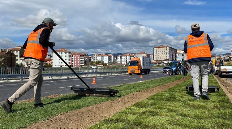 Akşemseddin bulvarı yeşillendiriliyor
