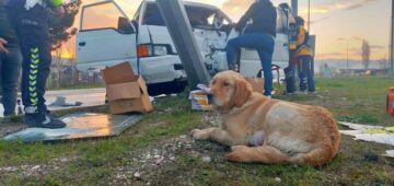 Kaza yapan sahibini yalnız bırakmadı