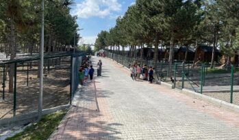 Hayvanat bahçesine yoğun ilgi