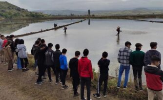 Öğrenciler çeltik ekimini yerinde inceledi