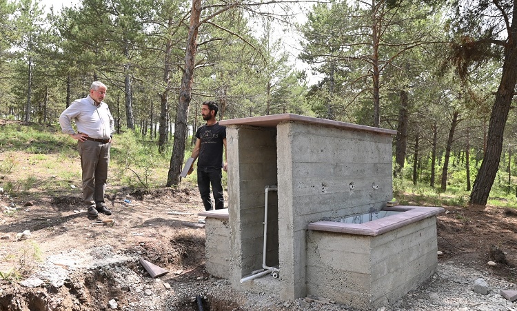 Bahabey çamlığı eko turizm alanı oluyor