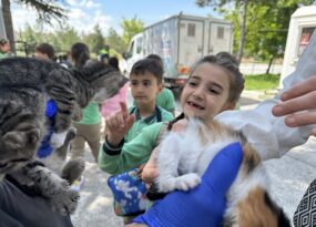 Minik hayvanları çok sevdiler