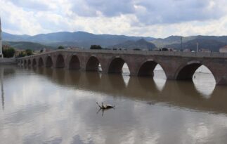 Hayvan leşleri Kızılırmak’tan çıkarıldı
