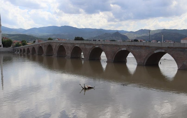 Hayvan leşleri Kızılırmak’tan çıkarıldı