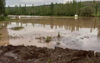 Ekili araziler sular altında kaldı!