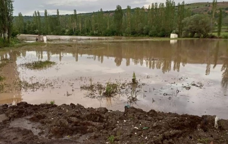 Ekili araziler sular altında kaldı!
