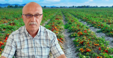 Tarım arazileri değerlendirilmelidir!