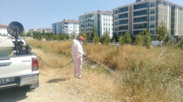 Vektörel mücadele devam ediyor