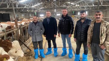 Girdiler yüksek süt fiyatı düşük!