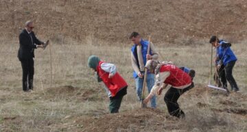 Sungurlu’da 500 fidan toprakla buluştu