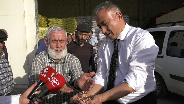 Hibeli nohut tohumuna hile karıştırdılar!