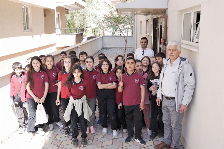 Çiğdem Aşı geleneğini yaşatılıyor