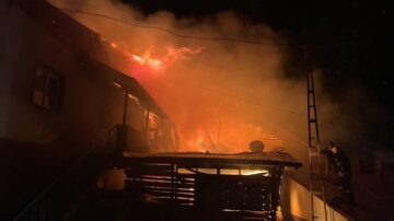 Köydeki yangında 55 koyun telef oldu!