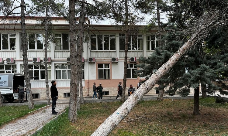  Çorum’da fırtına ağaçları devirdi