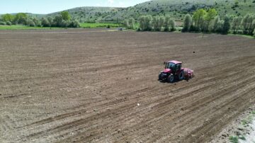 Belediye ayçiçeği ekimine başladı