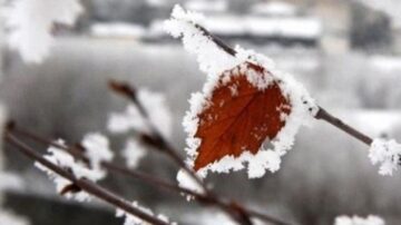 Çorum’a zirai don uyarısı yapıldı!