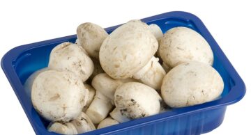 Marketten aldıkları mantar zehirledi!