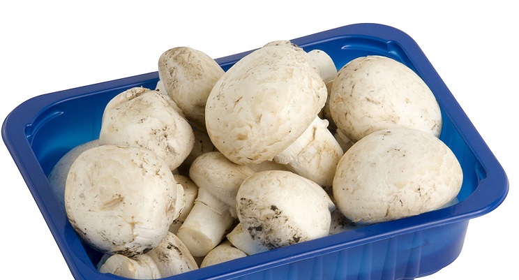 Marketten aldıkları mantar zehirledi!