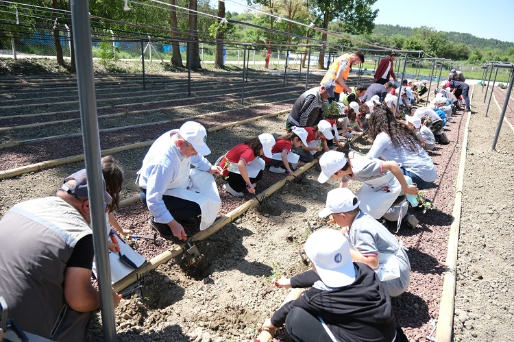 Minik ellerin fideleri toprakla buluştu