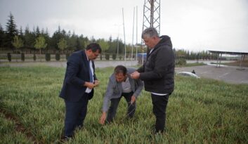 Yağışlar Çorumlu çiftçileri sevindirdi