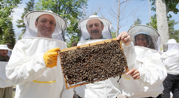 Arıları Yaşat Geleceğini Kazan Projesi