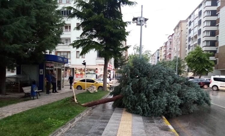 Çorum’da fırtına etkili oldu