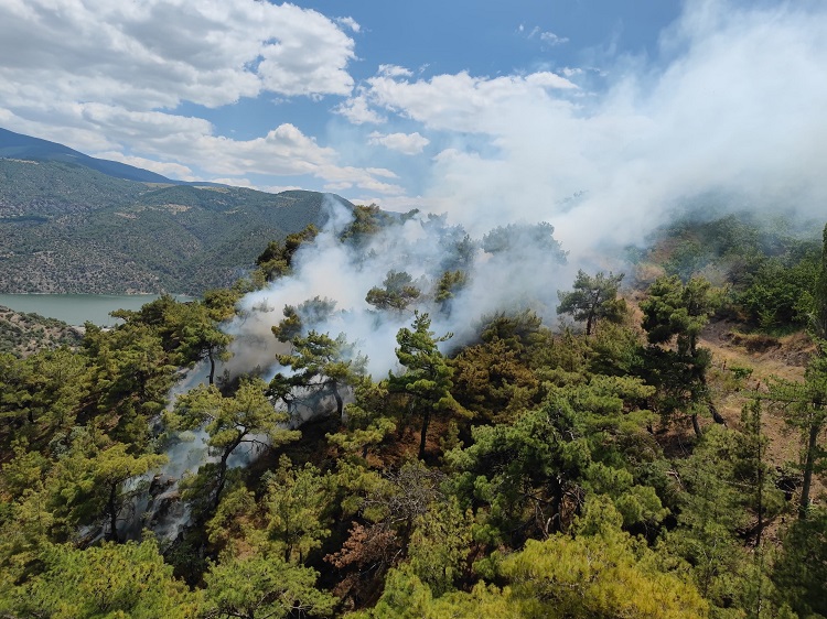 Çorum’da ormanlık alanda yangın!