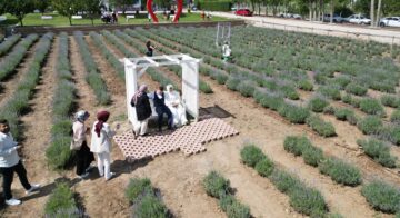 Lavanta bahçesine yoğun ilgi