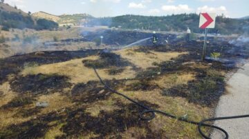 Yol kenarındaki ot yangını söndürüldü