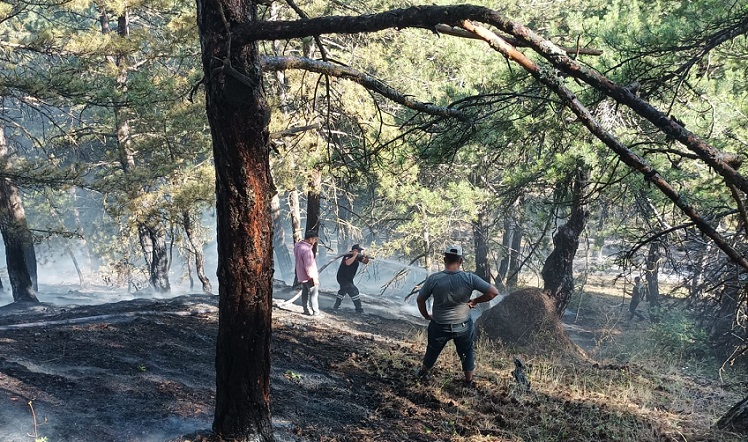 Yangında 3 dekar ormanlık alan yandı