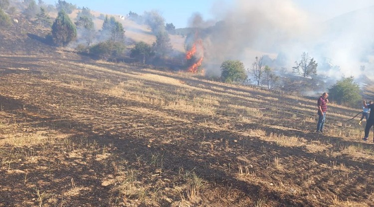 Mangal nedeniyle 6 dekar alan zarar gördü