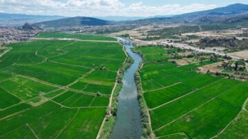 Osmancık pirinci lezzetiyle öne çıkıyor