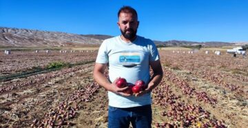 Çorum soğanı Dubai’ye yola çıktı