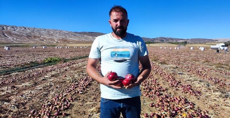 Çorum soğanı Dubai’ye yola çıktı
