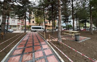 Varinli Caddesi’nde çevre düzenlemesi yapıldı