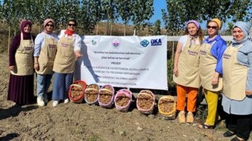 Safran ve sarımsak projesine OKA desteği