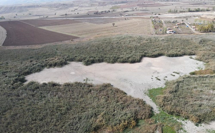 Çorum’un kuş cennetiydi göl bu hale geldi!