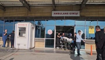 Arazisine giren hayvanların sahibini vurdu!