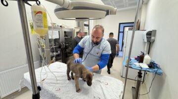 Belediye’nin tesisinde tedavi görüyorlar