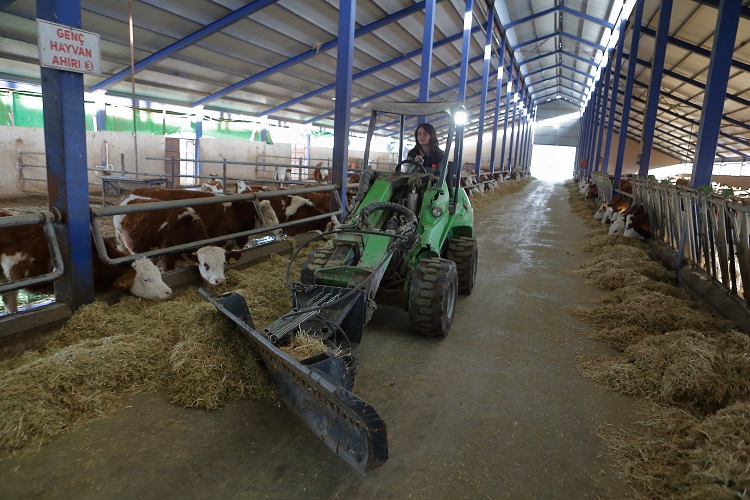 Köyüne destek ile çiftlik kurdu
