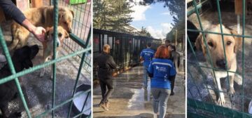 Belediye’de 5 personel açığa alındı!