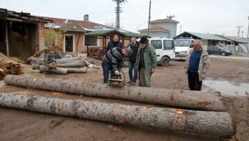 Hitit’den çam kabuğu soyma makinesi