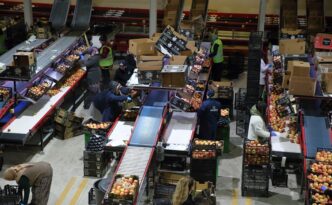 TKDK desteğiyle 25 ülkeye ihracat yapılıyor