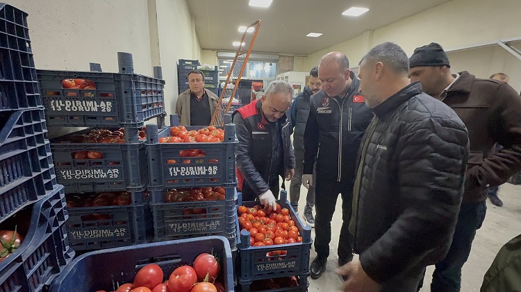 Çorum Halin’de incelemelerde bulundular